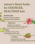 Amla, Hibiscus & Bhringaraj Hair Growth Oil