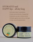 Mango Butter Lip Balm, Hydrating Lip Balm