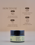 Mango Butter Lip Balm, Hydrating Lip Balm