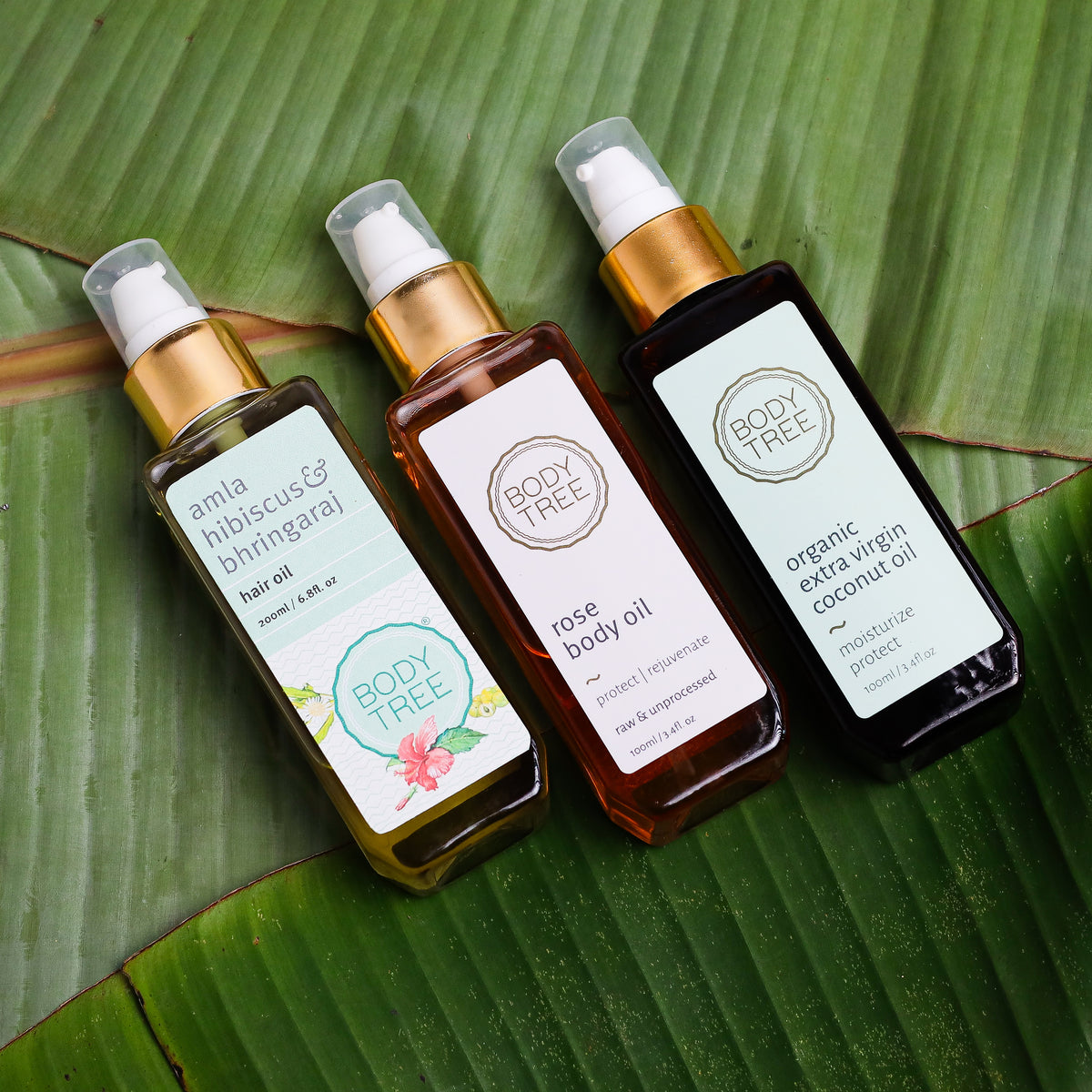 The Oil Trilogy