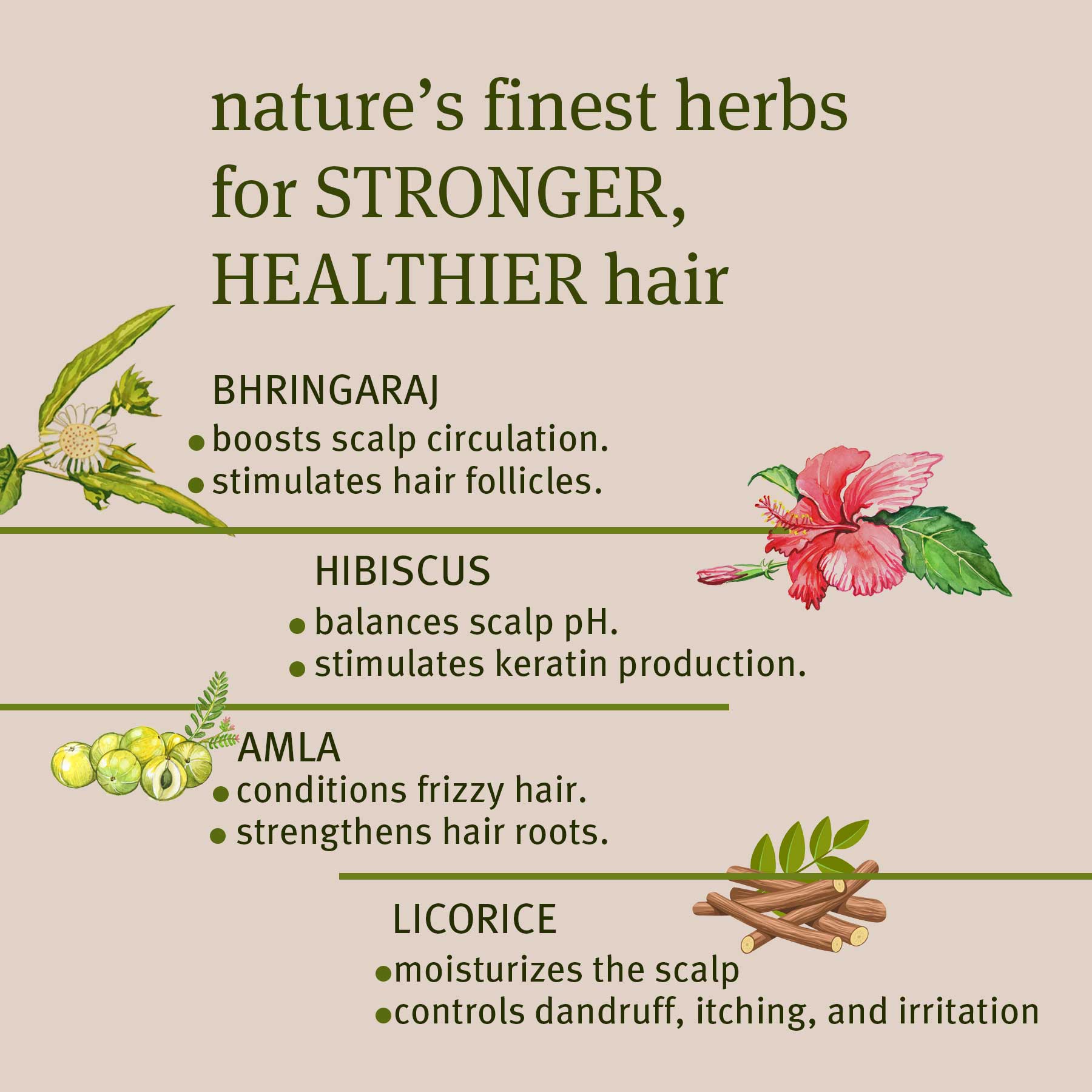 Amla, Hibiscus &amp; Bhringaraj Hair Growth Oil