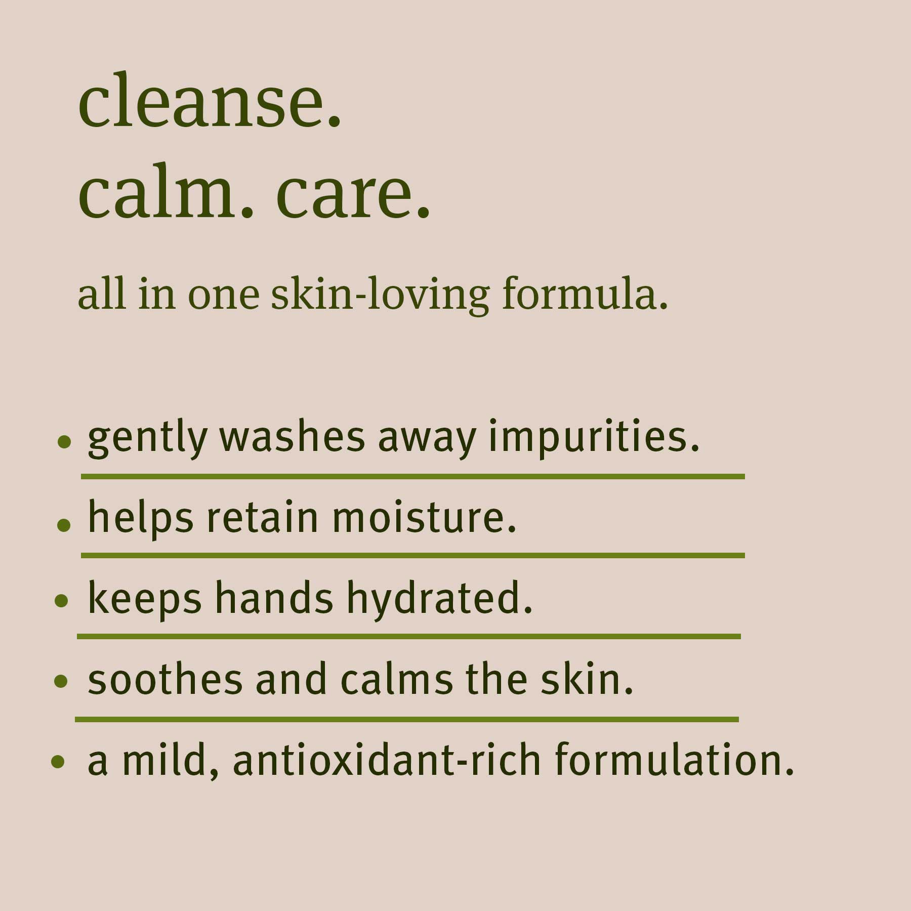 Refresh Hand Wash with Amla &amp; Green Tea